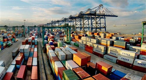 深圳進(jìn)出口貨物退運 流程、原因與注意事項